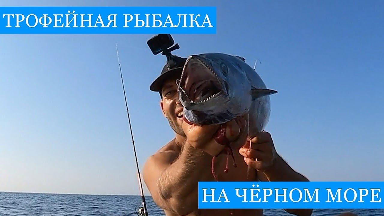 В погоне за ПЕЛАМИДОЙ!! Спортивная рыбалка на черноморского трофейного хищника! Нырялка за рапанами! смотреть онлайн