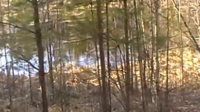 Охота карьер смотреть онлайн