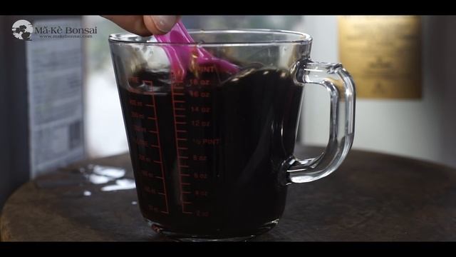 101) Homemade bonsai tonic and house plant tonic смотреть онлайн
