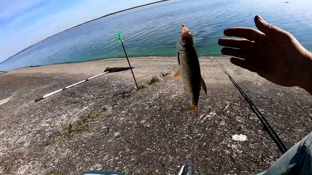 РЫБАЛКА в черте города на ПЛОТВУ ( Киевское море) Streetfishing