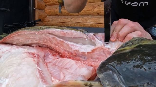 Как почистить и разделать сома.Лучший способ смотреть онлайн