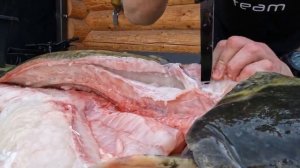 Как почистить и разделать сома.Лучший способ