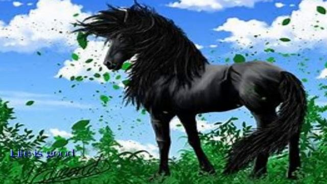 Гороскоп рождённых в год Лошади ! смотреть онлайн