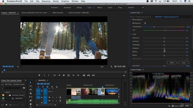 Learn How to Use Premiere Pro CC - For Beginners | 7. Color Correction смотреть онлайн