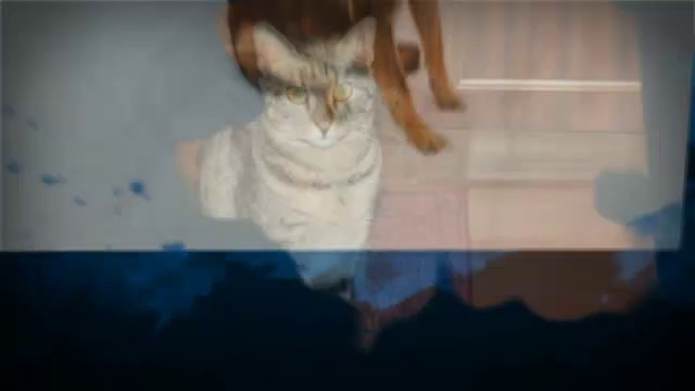 Стихия воды. Видео из фото. смотреть онлайн