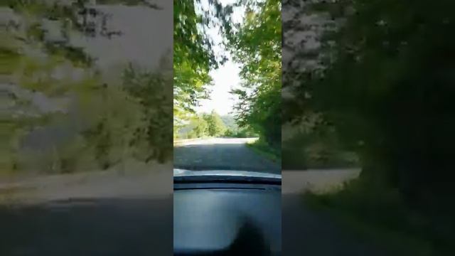 Мюссерским заповедник, 11 июля 2021 смотреть онлайн