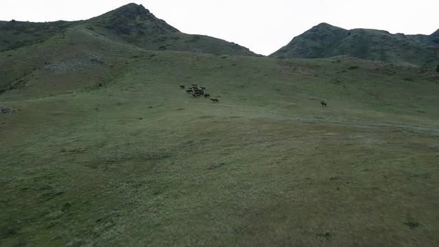 Beautiful places - Казахстан смотреть онлайн