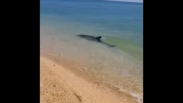 Авторские стихи «Все с нуля» смотреть онлайн