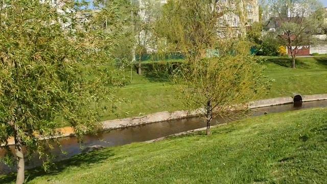 Лена и Ваня LIFE \ Шок-Контент \ Такого от Лены никто не ожидал! \ Обзор влогов смотреть онлайн