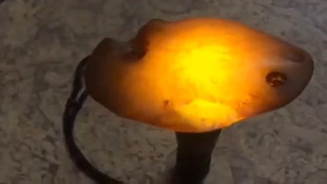 Оценка Янтаря по фотографии смотреть онлайн