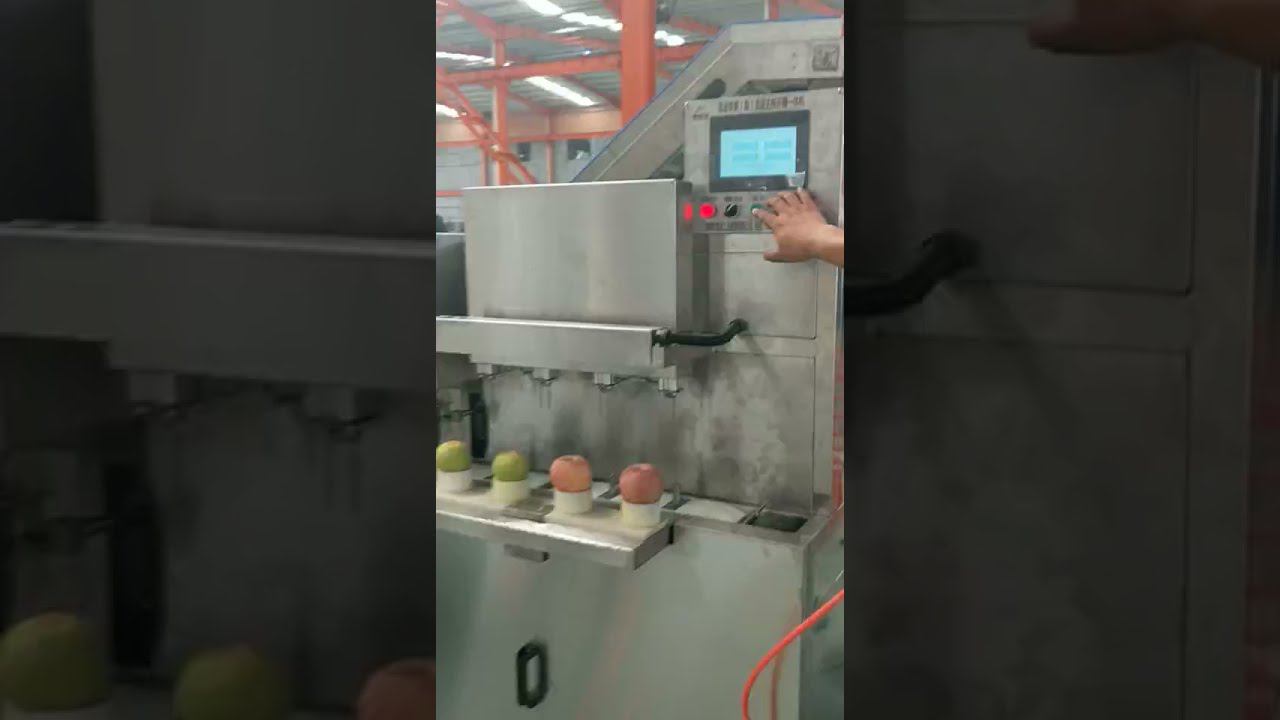 Линия очистки и резки яблок от РостПищМаш смотреть онлайн