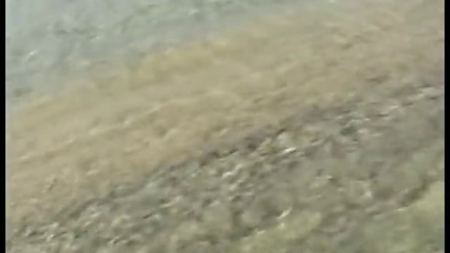 A look at Cockle Spit - near Port Pirie. смотреть онлайн