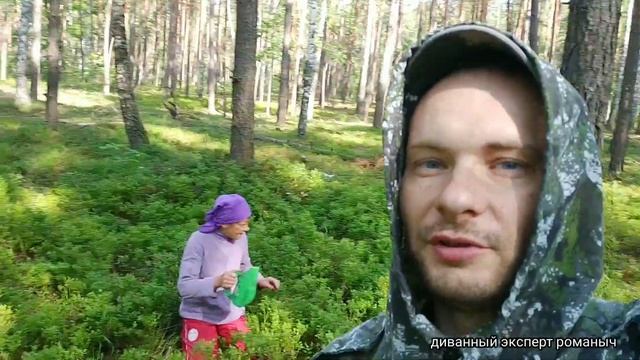 Сбор черники 2023. В Беларуси пошли лисички! Новая Цена на чернику смотреть онлайн