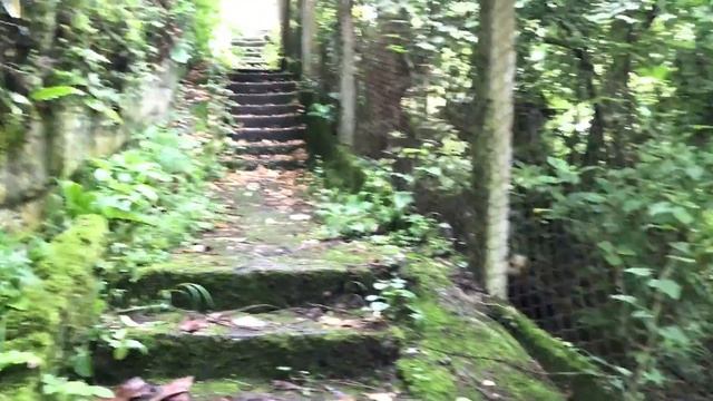 Абхазия 2017. Апсны. Отдых. Travel. Цены. Отзывы. 5. Курорт старая и новая Гагра. Горы. Путешествие смотреть онлайн