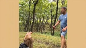 Рубка свиной головы саблей килич (К-16) производства «Назаров и Калибр» г. Иваново.