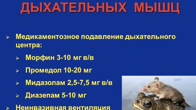ОИМ кардиогенный шок часть 2 Кошкина Е.В смотреть онлайн