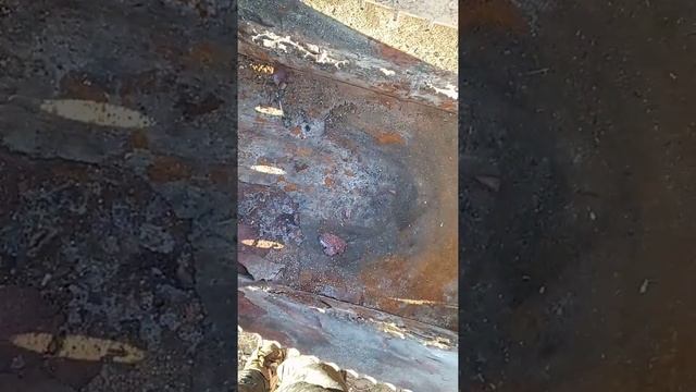 ПОСМОТРИТЕ!!!!!!!!!КАКИЕ В НЫНЕШНЕЕ ВРЕМЯ ДЕЛАЮТ МАНГАЛЫ. смотреть онлайн