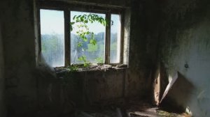 Заброшенный пионерский лагерь "Лесное"