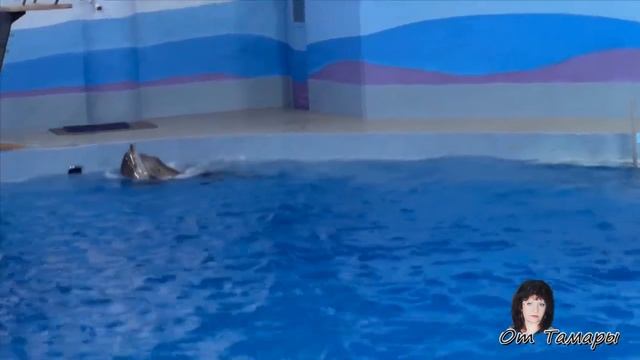 Сергей Грищук Мир спасет любовь смотреть онлайн