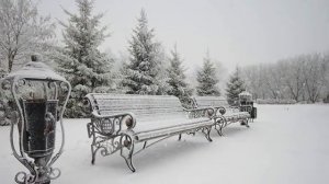 Максим Аверин   Где же ты