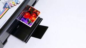 Обзор принтера Epson L130