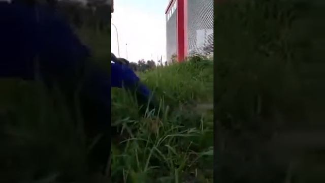 Парень поцеловал кобру смотреть онлайн