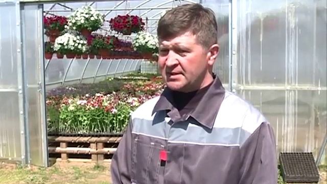То что нужно СПК Красное смотреть онлайн