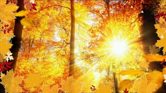Самое Красивое Поздравление с Днём Осеннего Равноденствия.mp4 смотреть онлайн