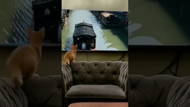 Очень реалистично смотреть онлайн