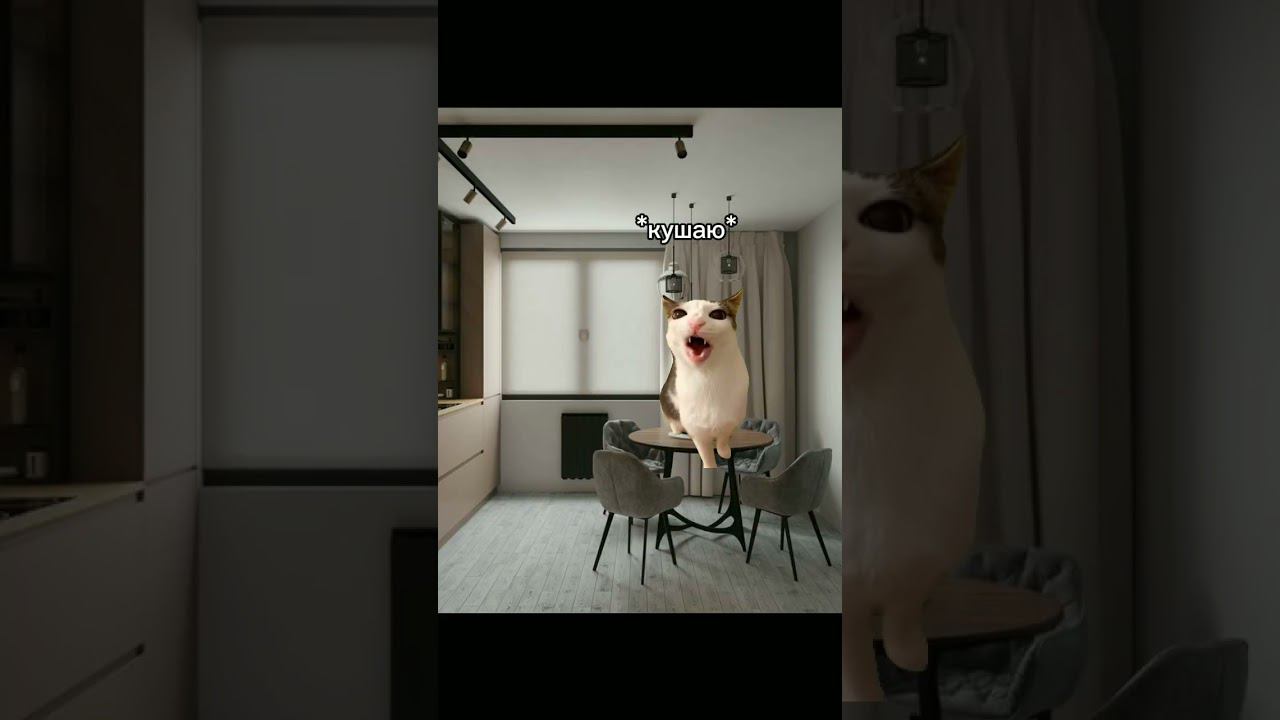 как проходит моя суббота #мемы смотреть онлайн