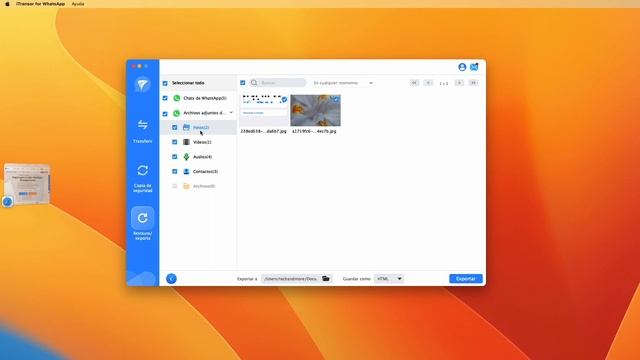 Cómo exportar Chats de WhatsApp en Archivos excel смотреть онлайн