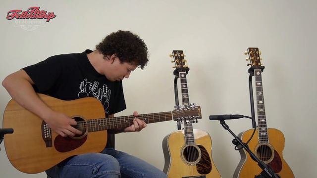 Martin DM-12 string, 2001 at The Fellowship of Acoustics смотреть онлайн