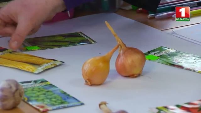 смешанные посадки: пример на одной грядке смотреть онлайн