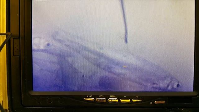 Рыбалка на сухарке 3 (подводная съемка) смотреть онлайн