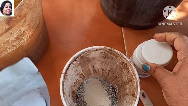 🔴ये घरेलु खाद से गुड़हल कलियों और फूलों से ढक जाएगा Hibiscus fertilizer & growing tips for flowerin смотреть онлайн