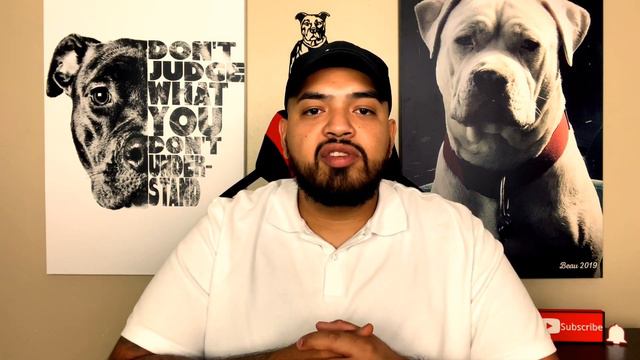 Adopt Vs Shop for your new Pit bull Puppy! смотреть онлайн