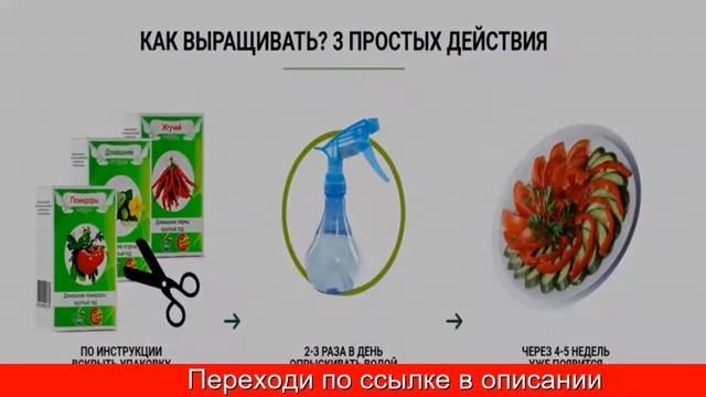 Домашнее Выращивание Овощей смотреть онлайн