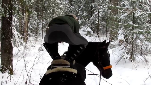 Как нужно ездить верхом на лошади :D смотреть онлайн