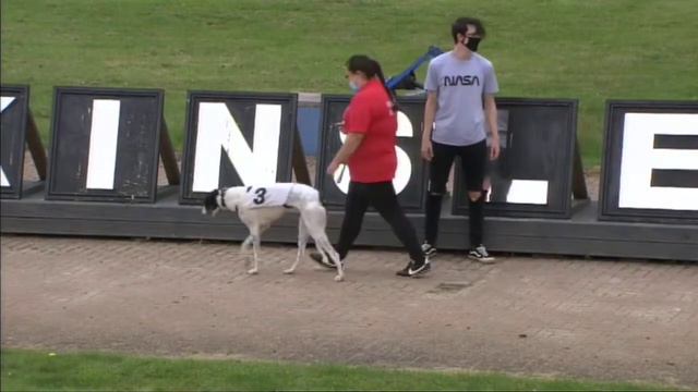 Kinsley Greyhound Races on 13th July 2021 смотреть онлайн