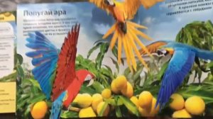 Живая книга Джунглей! Азбукварик. Наш удивительный мир