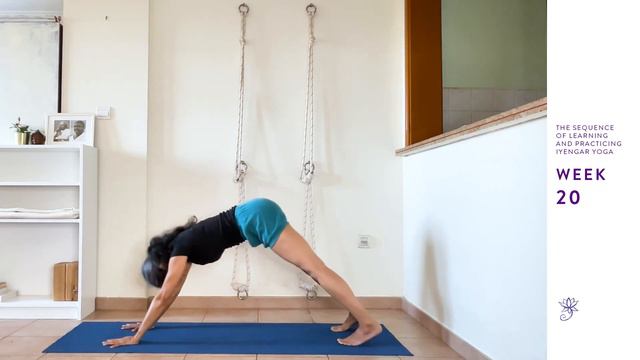 Week 20: Learning and Practicing Iyengar Yoga for Beginners смотреть онлайн