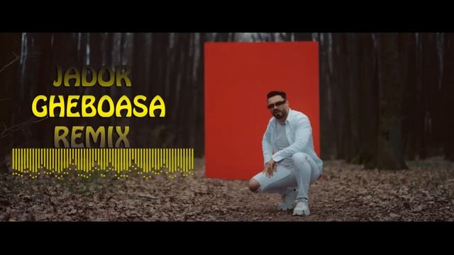 Jador ❌️ Gheboasa ❌️ Tu Mi-ai Fost India | ReMix 2023