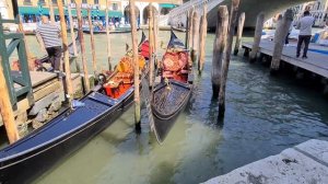 Выпуск 7 Венеция. Как добраться из Милана и что посмотреть за 3 дня. прекрасная вечерняя Венеция