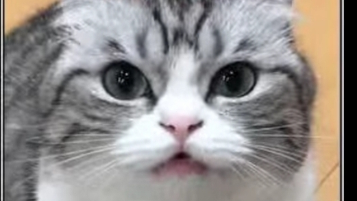 я иду со школы