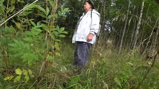 По грибы в окрестностях Перми 24 авг 2020 смотреть онлайн