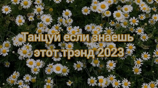 🌷✨️Танцуй если знаешь этот трэнд🌷✨️Лучшее трэнды Тик Тока🌷✨️ смотреть онлайн