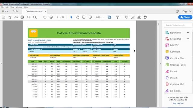 VBA To Create Or Publish Any Document To PDF - VBA PDF Automation-1