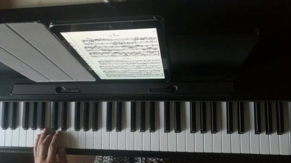 Бах Маленькая прелюдия d-moll №6 из 1-й тетради