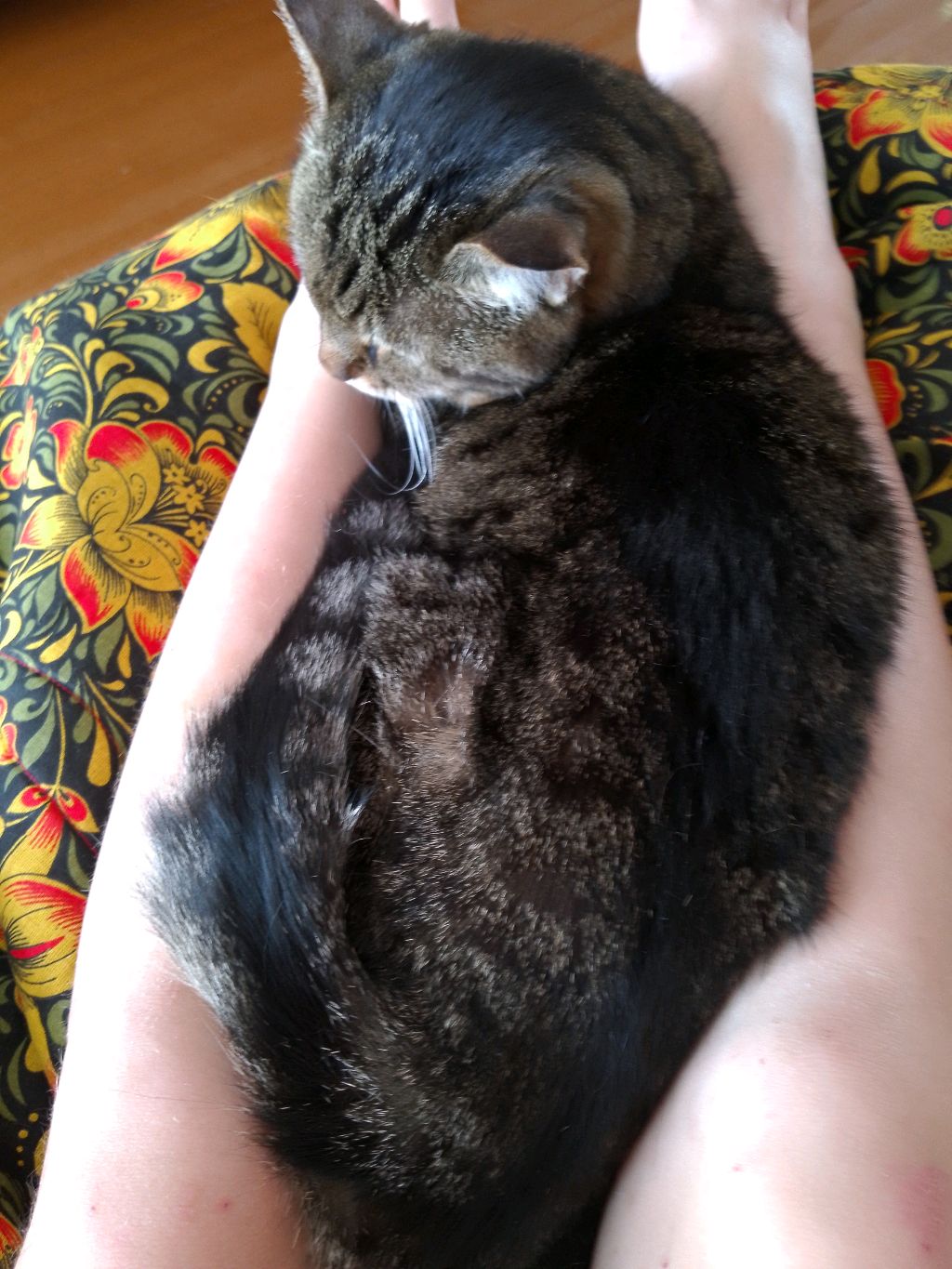 эдмршпц😙 смотреть онлайн