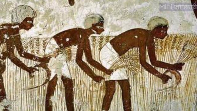 Indus Valley Civilization | Mystery Explained in Hindi | Harappan Civilization | @MiniJankari смотреть онлайн